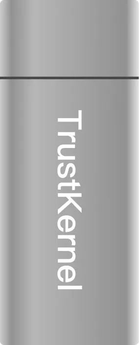 plugstick